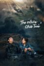 [END 38] The White Olive Tree Kisskh English Subtitle Full Movie Free Watch And Download Eng Sub