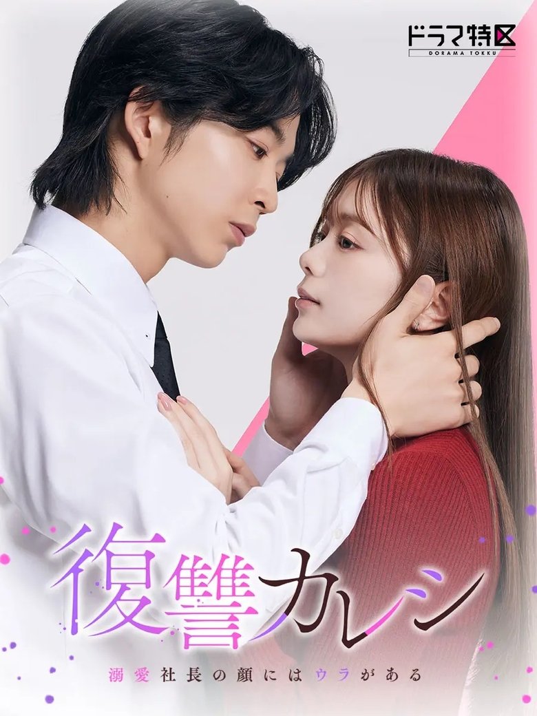 Revenge Boyfriend – The Revenge Love (2025)