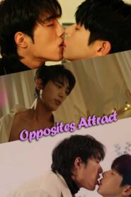 Opposites Attract (2026)